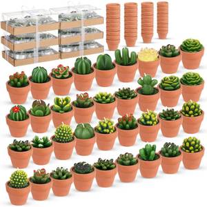 lot 5312 image: Shihanee 36 Pcs Succulent Cactus Tealight Candles