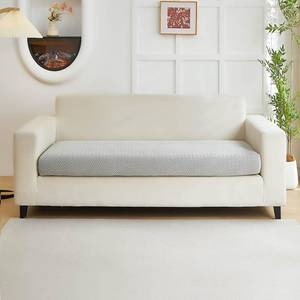 lot 9026 image: Disayu Couch Covers for 2 Cushion Sofa Pet Friendly Couch Cushion Covers Universal Sofa Covers Washable Stretch Slipcovers for Sectional Sofa (Texture Light Gray,Large Double Seat Cover)