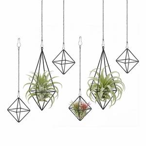lot 9993 image: Yuanan 6 PCS Air Plant Hanger, Air Plant Holder Geometric Metal Airplant Holder Hanging Tillandsia with Chains, Home Decor, Balcony Planting and DIY Art for Small Indoor Plants-2 Size