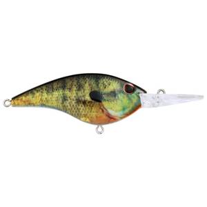 lot 14196 image: Berkley Frittside Fishing Hard Bait