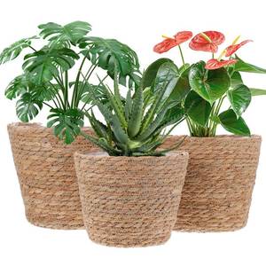 lot 19072 image: mekueeex 3 PCS Plant Baskets Indoor with Plastic Liner, Water Hyacinth Woven Planters Flower Basket, Planter Basket for Rustic Boho Home Farmhouse Floor Potted Pots Decor
