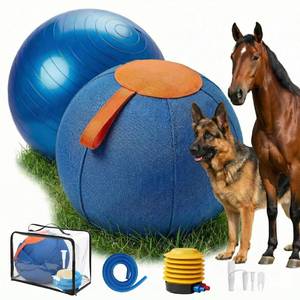 lot 19138 image: Portable 22-Inch Herding Ball for Dogs Australian Shepherds, Dog Herding Ball Outdoor Training Set for Working Animals with Durable Oxford Fabric Cover, Air Pump, Storage Bag and Gift Box Included