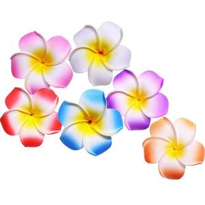 lot 6270 image: Hawaiian Flower Hair Clips,2.5-inch Frangipani Hair Clip Hawaiian-themed Party Decorations Suitable for Women and Girls,6Pc