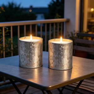 lot 8376 image: Citronella Candles Outdoor, 2 Pack 8oz Each, Natural Soy Wax with Citronella Oil, Long-Lasting 60H Burn Time, Silver Tin Candle Set for Patio, Garden, Deck, Backyard, Camping, Summer Nights