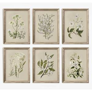 lot 10243 image: Vintage Botanical Wall Art Set of 6 Neutral Floral Canvas Wall Decor Wildflower Wall Art Watercolor Flower Prints Botanical Poster Minimalist Plant Pictures for Bedroom Living Room 8x10 Inch Unframed