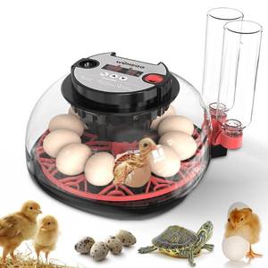 lot 19176 image: incubators for hatching eggs��12 Egg Incubator,egg incubator with automatic egg turning and humidity control��incubator for chicken eggs��chicken incubators for hatching eggs��egg incubator