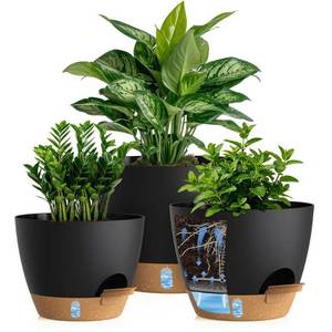 lot 19208 image: KUGAZ Self Watering Pots with Drainage Holes, 2 Pack 108 Inch Plant Pots with Water Level Indicator Deep Reservoir, Large Plastic Planter for Indoor Outdoor Plants - Black Brown (Missing Brown Bottoms)