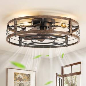 lot 19249 image: LEDIARY 23 Black Gold Caged Low Profile Ceiling Fan with Light and Remote