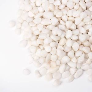 lot 20339 image: Pulovin 5 lbs White Pebbles for Vases, 38 Small Plant Rocks for Pots Indoor, Decorative Pea Gravel for Succulents, Bamboo, Terrarium, Landscape, Garden
