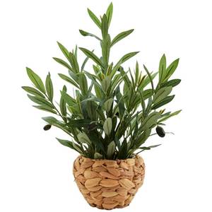 lot 5533 image: AlphaAcc Fake Potted Plant Small Olive Water Hyacinth Mediterranean Decor