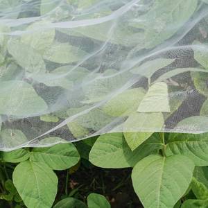 lot 6456 image: Ultra Fine Garden Netting, 4x10 Plant Netting Pest Barrier for Garden Protection Row Cover Raised Bed Screen Mesh Greenhouse Mosquito Net, Protecting Tree Plants Vegetable Flowers Fruits