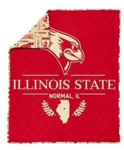 lot 18745 image: Illinois State Quilted Throw Blanket 60in x 80in