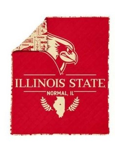 lot 18746 image: Illinois State Quilted Throw Blanket 60in x 80in