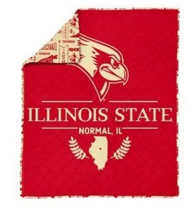 lot 18748 image: Illinois State Quilted Throw Blanket 60in x 80in