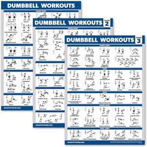 lot 152258 image: Palace Learning 3 Pack - Dumbbell Workout Posters for Home Gym - Volume 1, 2 & 3 - Exercise Charts (Laminated, 18 x 24)