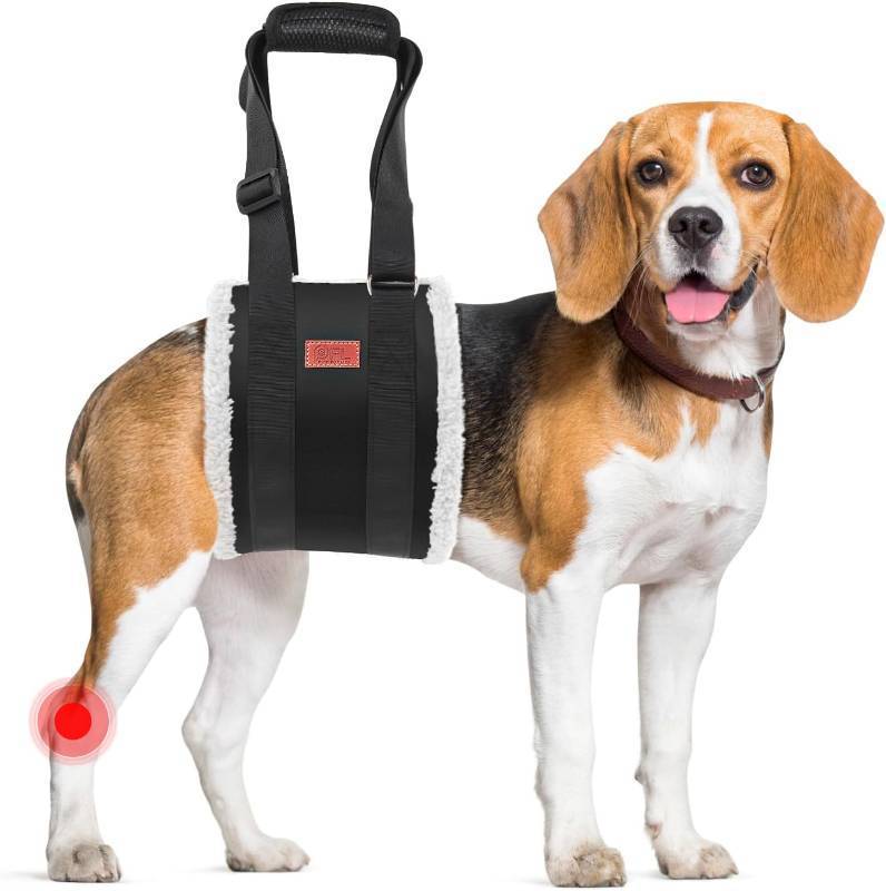 lot 2061 image: Adjustable Dog Sling for Medium Dogs Soft Post-ACL Surgery Mobility Aid