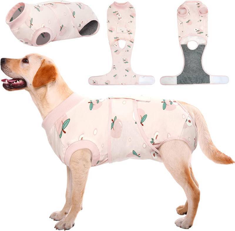 lot 2180 image: Kuoser Recovery Suit for Dogs Cats, Soft Dog Surgery Suit Female Male Spay