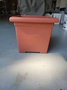 lot 1 image: Terracotta Square Planter Pot with Soil - Retail $0