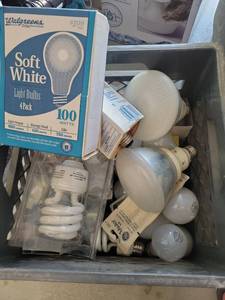 lot 53 image: Various types of light bulbs - Retail $0