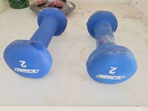lot 118 image: Kasatsu 2 lb Dumbbell Pair Blue - Retail $0
