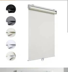 lot 224 image: Roller Shade PHOTO for refrence only 3 pack