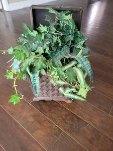 lot 266 image: Woven Basket Planter with Handles