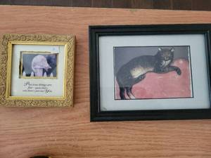 lot 272 image: Lot of 3 Framed Photographs with Text - Cat and Animal Prints