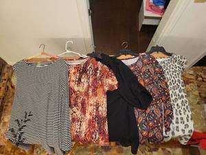 lot 316 image: Westbound Womens Clothing Lot 5 Pieces Assorted Tops Shirts Blouses size XL