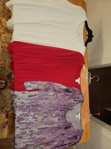 lot 318 image: Cj Banks Lot of 3 Womens Clothing Items White Red Purple Striped size XL