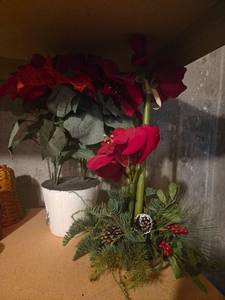 lot 562 image: Red Amaryllis Plant in Foam with Holiday Greenery Arrangement