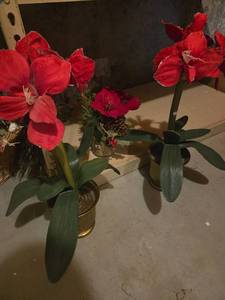 lot 566 image: Faux Plants & Florals Red Orchid Arrangement