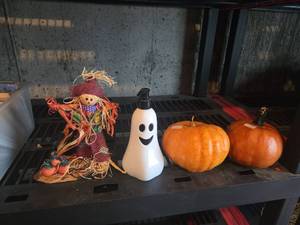 lot 589 image: Halloween Fall Decor