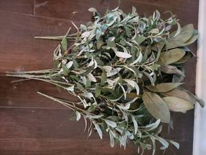 lot 624 image: Faux Olive Branch Stem Picks and Magnolia Leafs with Berries Bundle