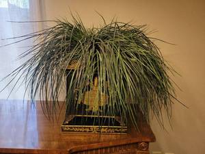 lot 628 image: Decorative Planter with Faux Plant Arrangement