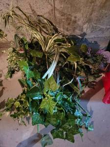 lot 662 image: Faux Plant Lot Mixed Foliage Ivy Grass and Leaf Stems
