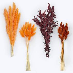 lot 1855 image: 55 PCS Orange Natural Dried Flower Bouquet with Pampas Grass, Orange Bunny Tails, Red Eucalyptus, 17 Fall Floral for Boho Rustic Wedding Decor, Natural Floral Arrangement, Farmhouse Home Table Decor