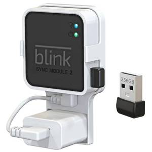lot 1919 image: 256GB USB Flash Drive with Outlet Wall Mount for Blink Sync Module 2, 1Pack - Retail $20