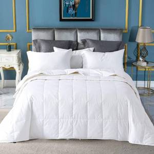 lot 83 image: Globon Summer Down Comforter King Size,Extra Lightweight Duvet Insert,White - Retail $104