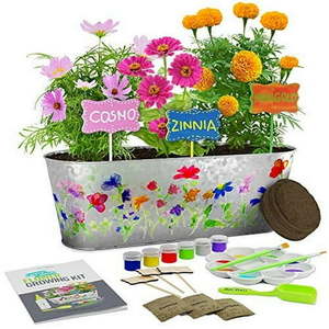 lot 175 image: Dan&Darci Paint & Plant Flower Growing Kit for Kids - Best Birthday Crafts Gifts for Girls & Boys - Christmas Gift - Childrens Gardening Kits  Art Projects Toys for Ages 4-12 - Retail $52