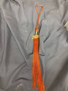 lot 249 image: 2026 Graduation Tassel  - Retail $0