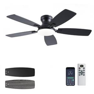 lot 2006 image: JSAITEE Ceiling Fans with Lights, 42 Inch Low Profile Ceiling Fan with Light and Remote Control, Flush Mount, DC Reversible Motor, Noiseless, Black 6 Speeds Ceiling Fan for Bedroom - Retail $60