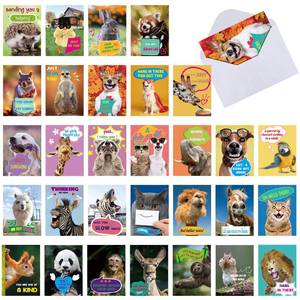 lot 1084 image: Panelee 60 Set Funny Animal Greeting Cards Set with 3.58x5.1 Inches Envelopes Summer Camp Gratitude Thinking of You Humorous Joke Notecards Appreciation Postcards for Kids Friends Students Teacher - Retail $3,309