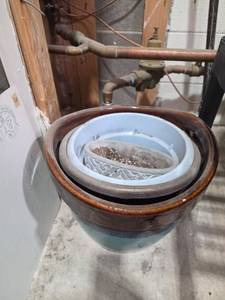 lot 7406 image: Ceramic Planter with Decorative Leaf-Pattern Rim