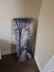 lot 7799 image: Black and White Forest Path Canvas Wall Art Print