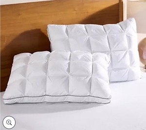 lot 1513 image: Home Reflections Set of 2 Comfort Cushion Pillows- StdQn, Combo