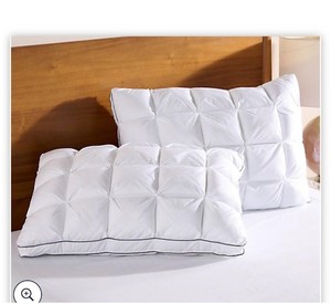 lot 1705 image: Home Reflections Set of 2 Comfort Cushion Pillows- StdQn