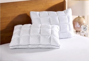 lot 1755 image: Home Reflections Set of 2 Comfort Cushion Pillows- StdQn