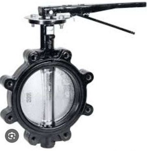 lot 19081 image: 8in Cast Iron Butterfly Valve Lug Lever