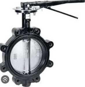 lot 19082 image: 8in Cast Iron Butterfly Valve Lug Lever
