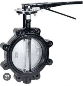 lot 19083 image: 8in Cast Iron Butterfly Valve Lug Lever